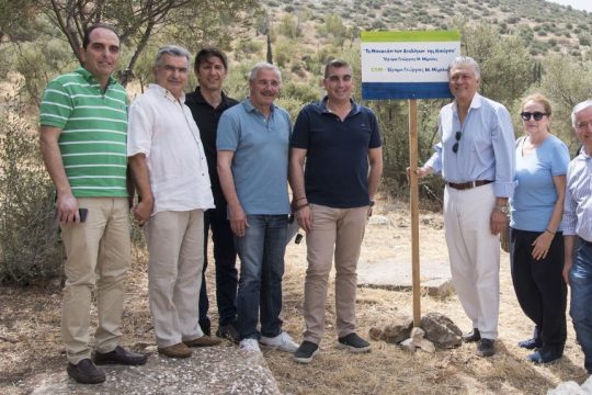 MihalosFoundation